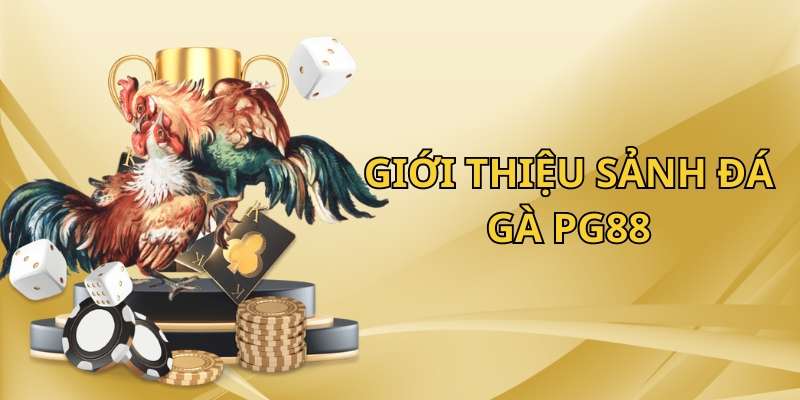 Giới thiệu về những điểm nổi bật của đá gà PG88