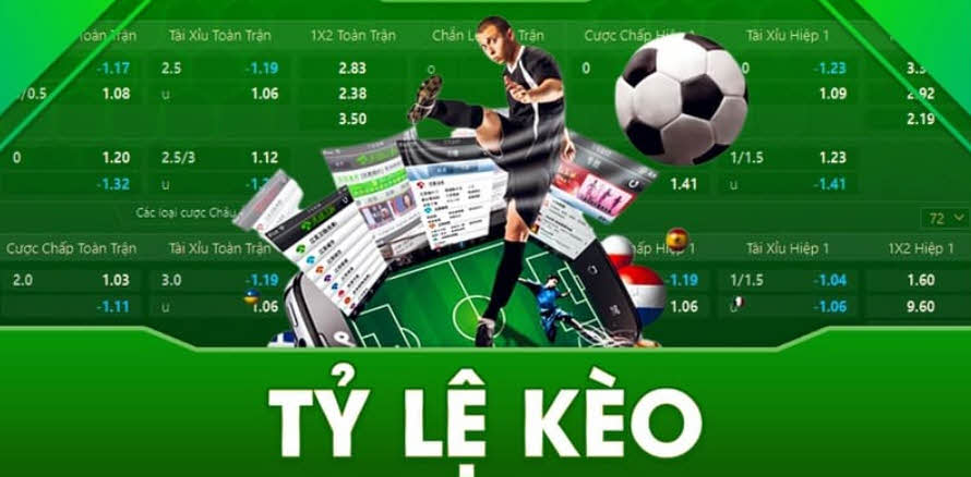 Nhà cái cá cược thể thao đỉnh cao VN